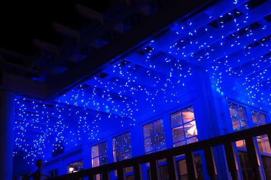 2016 مصممة جديدة 240 فولت أضواء عيد الميلاد مقاومة للماء أضواء الثلج في الهواء الطلق للمباني