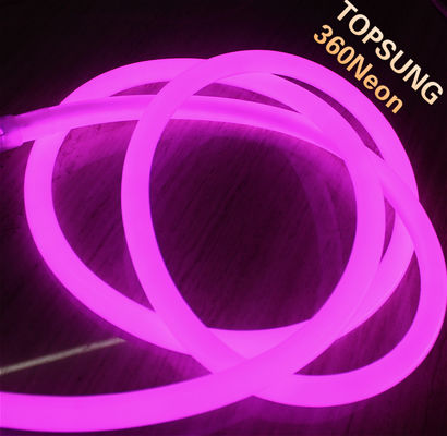 PVC مستديرة النيون 16mm الوردي LED 360 درجة النيون الضوء المرن 110 فولت