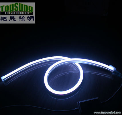 ضوء النيون المصباح ذو الحجم المصغّر RGB LED neon flex 10*18mm full color changing neon light 110V SMD5050