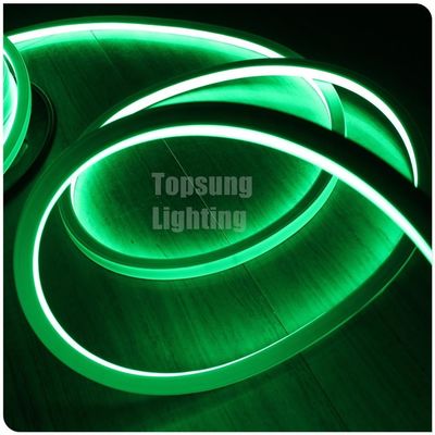 220 فولت الخضراء 100 leds/m مربع LED ضوء النيون لتنسيق النشاط