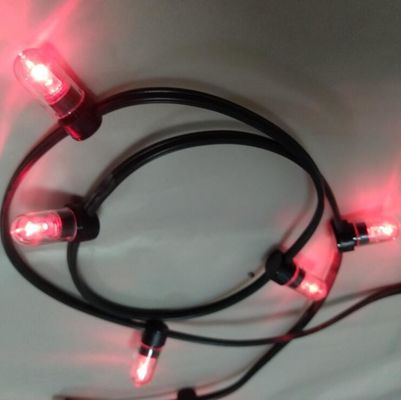 12 فولت طاقة منخفضة مصباح الكليب 100m / رول أضواء عيد الميلاد مصابيح الأرز الأحمر 666 مصباح
