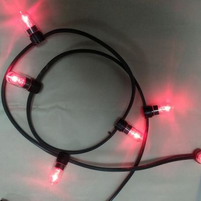ضوء أسلاك LED ذو الجهد المنخفض الألوان الوردية عيد الميلاد LED 100m أسلاك 666LED
