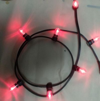 12 فولت طاقة منخفضة مصباح الكليب 100m / رول أضواء عيد الميلاد مصابيح الأرز الأحمر 666 مصباح