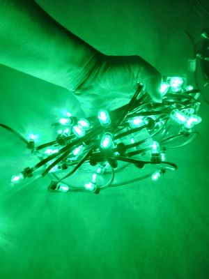 ضوء شجرة عيد الميلاد الخارجي الزخرفي السلسلة 100m 666 leds 12V LED Clip أضواء أضواء خضراء