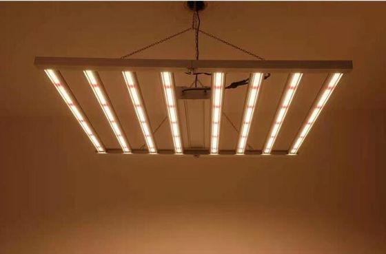 كامل الطيف المنزلي مصابيح النمو LED تنمو مصابيح النباتات 600w